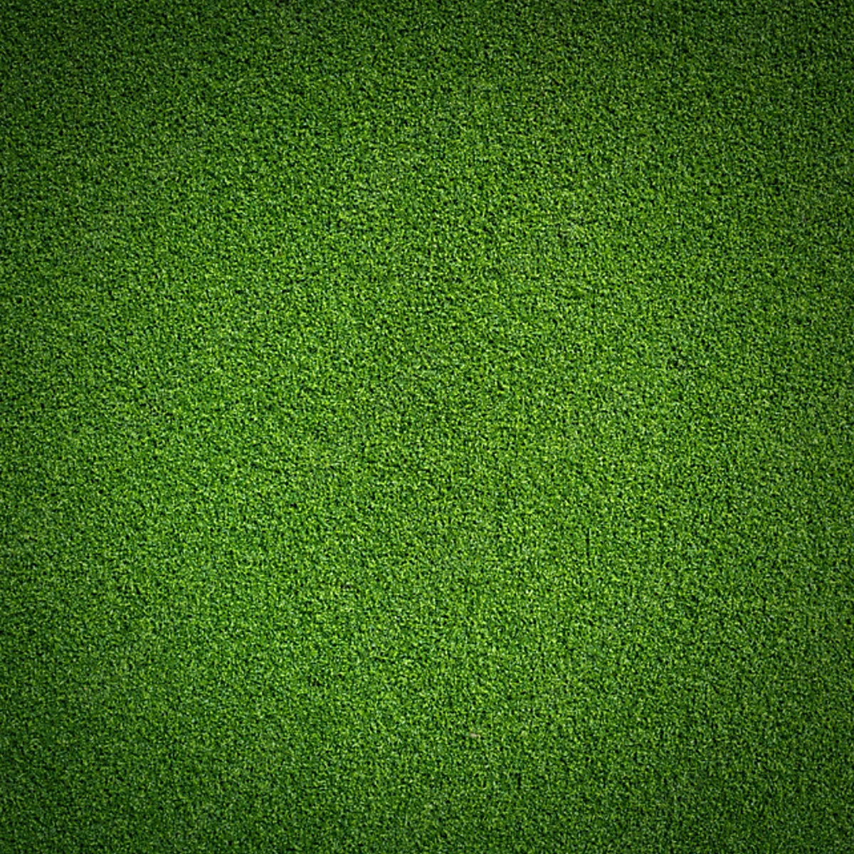 Kunstoff-Trainigsrasen - Dunkel-GrĂŒn, 10m & 20m â Bild 2
